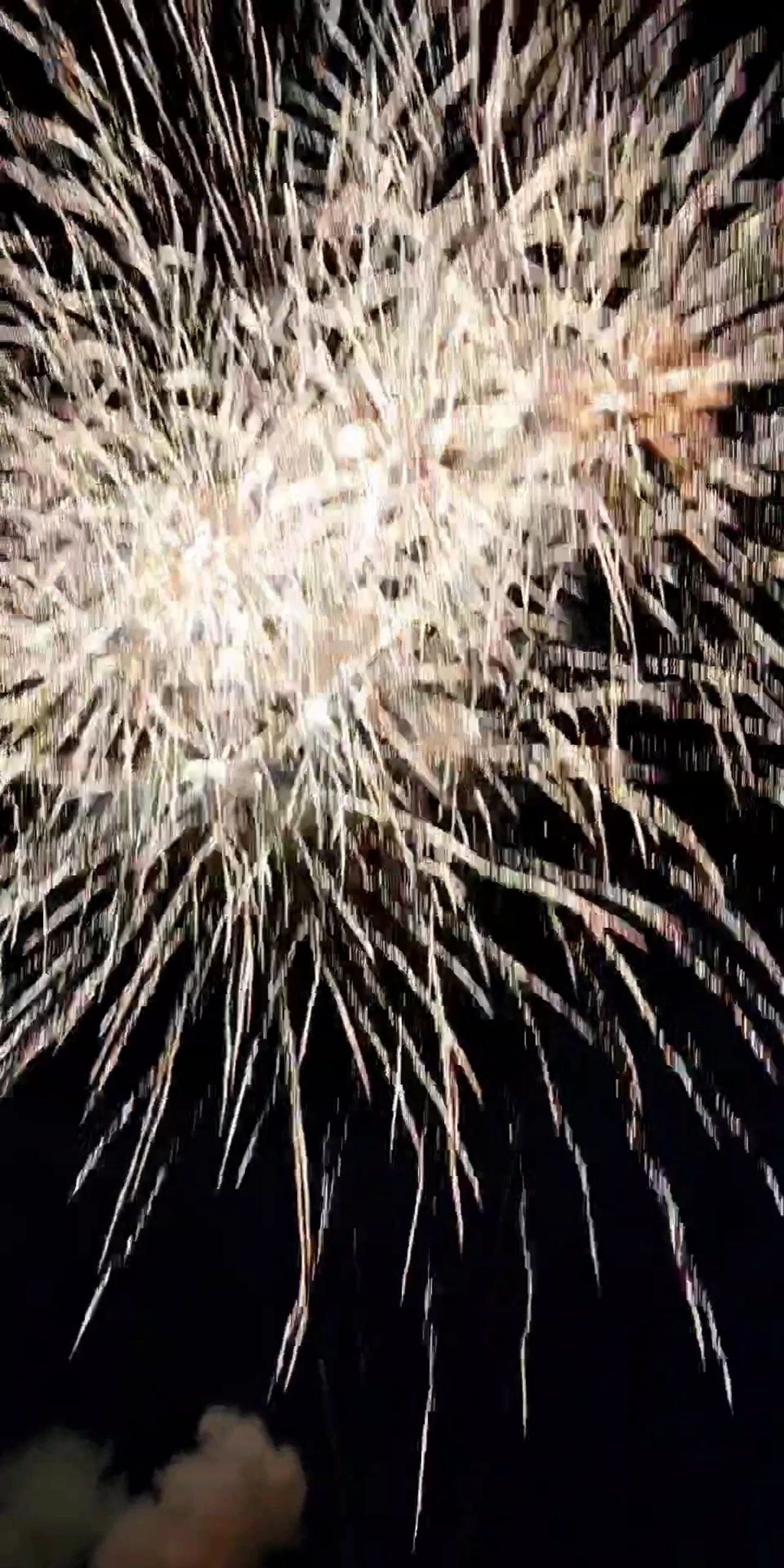 Gold aerial fireworks spreading across the night sky