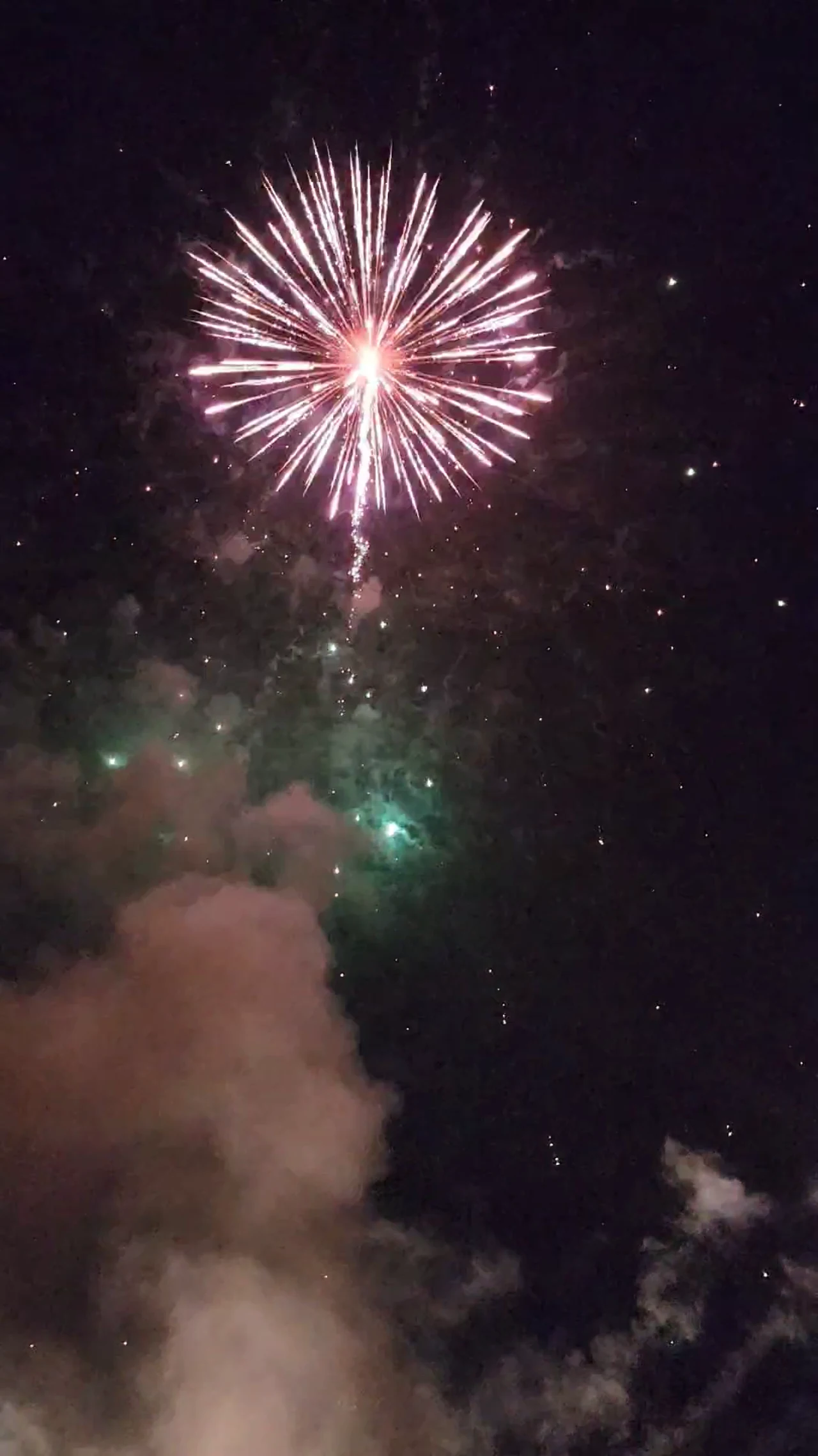 A single aerial firework opening into colored points of light