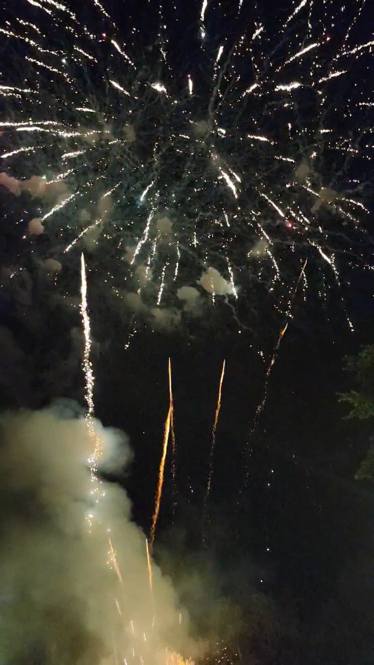 Pink and gold fireworks in the night sky